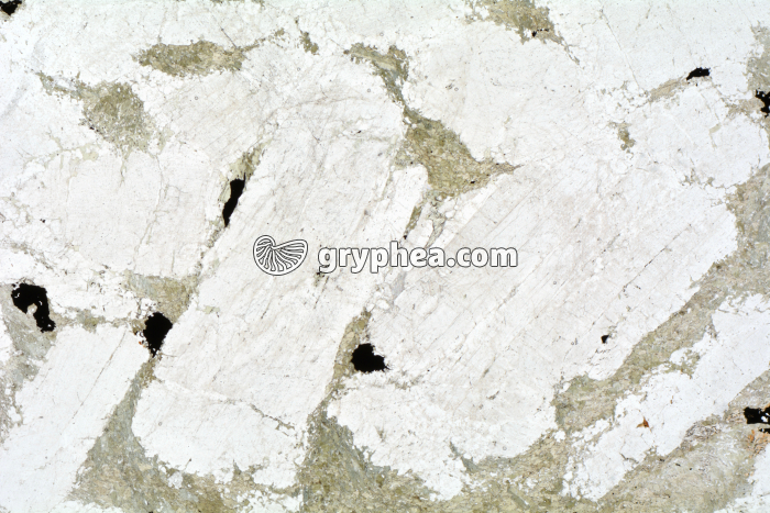 Métagabbro à Hornblende LPNA x3,5 - gryphea.com